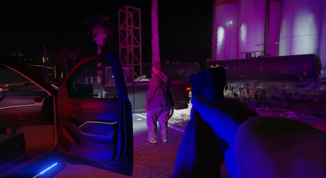 Officers speaking with a person beside an open car door at night