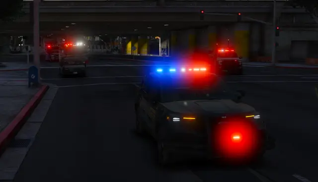 A patrol unit under a lit overpass at night