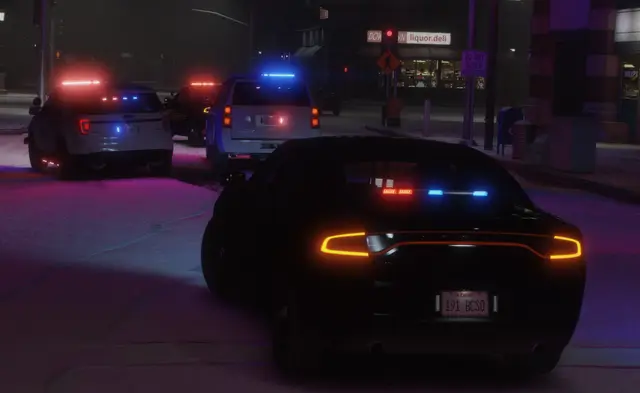 A patrol car with amber rear lights on a night street