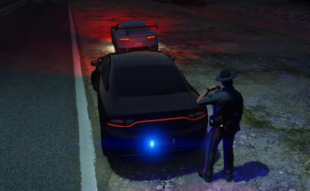 An officer standing at the door of a patrol car at night
